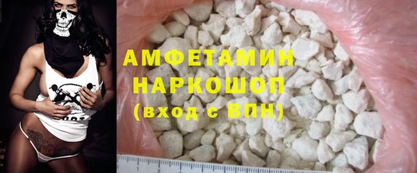 гидра Богородск