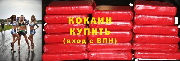 гидра Богородск