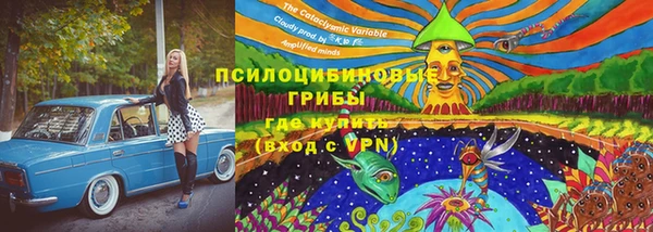 ALPHA PVP Богородицк