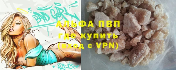 гидра Богородск