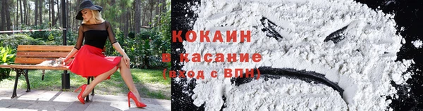 трава Белокуриха